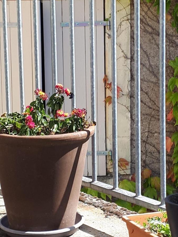 Tigné La Maison Haute מראה חיצוני תמונה